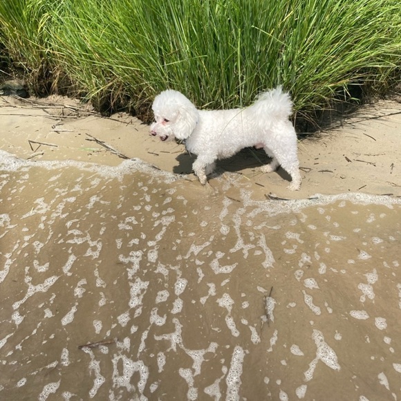 Hi! - Picture 3 of 4